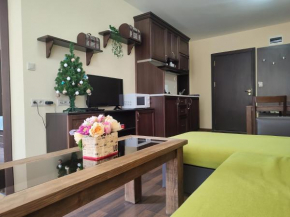 Aspen Private Apartment near the ski lift A212